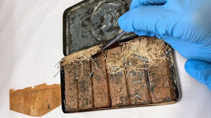 120-letnie czekoladki królowej Wiktorii znalezione w… bibliotece