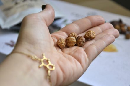 NXT – czekolada wegańska następnej generacji